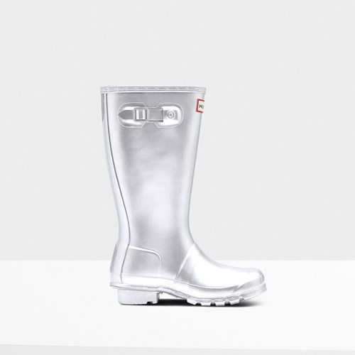 Hunter Original Metallic Wellies (Q317X) Ireland